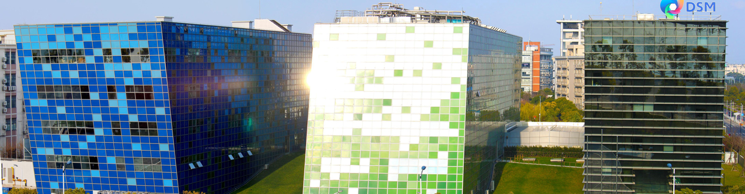 DSM gaat reorganiseren