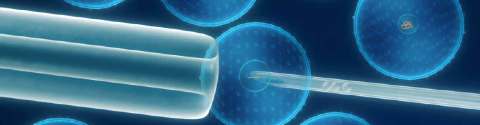 Winstgevende biotechnologie-aandelen