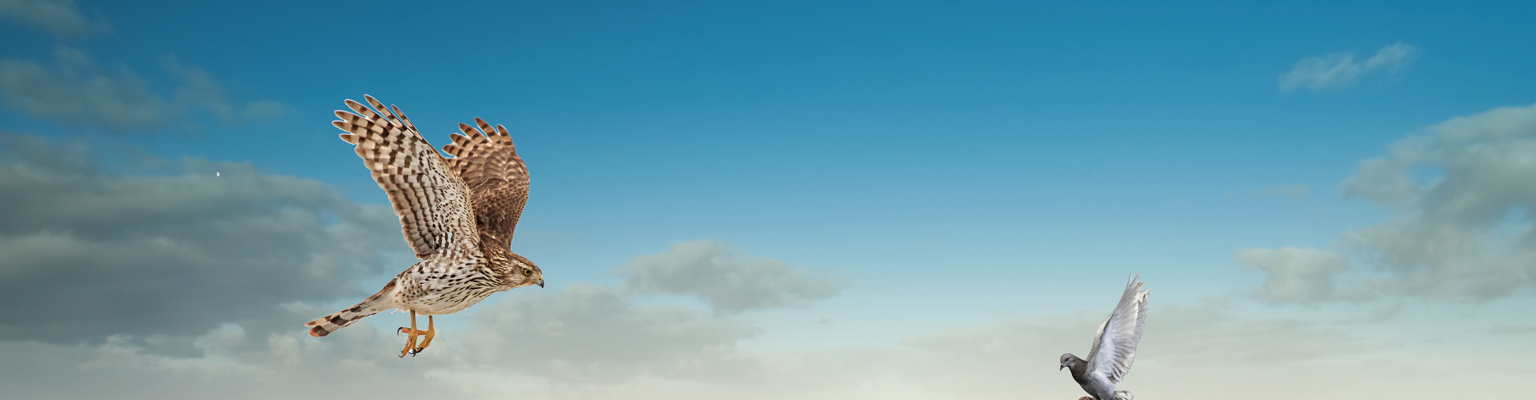 Veb Monetaire Vloed Houdt Aan Eb Voorbij Voordat Die Begon