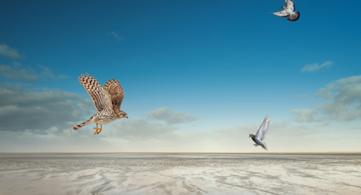 Monetaire vloed houdt aan, eb voorbij voordat die begon