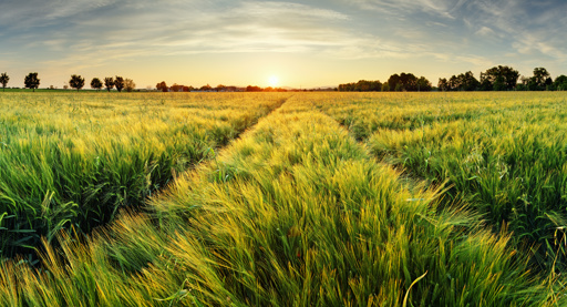 Winststagnatie ForFarmers geen tijdelijk fenomeen