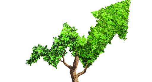 Duurzame belegger overstelpt met etf's