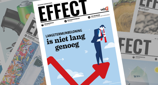 Effect 12: Langetermijnbeloning is niet lang genoeg