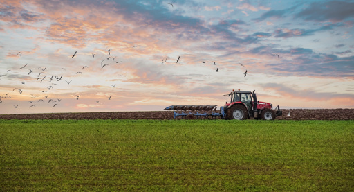 Vier prioriteiten voor de vierde topman van ForFarmers in één jaar