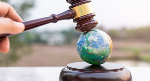 ‘Nederlandse beleggers zijn in het buitenland vaak vogelvrij’