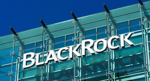 Het succesvolle BlackRock is opvallend kwetsbaar