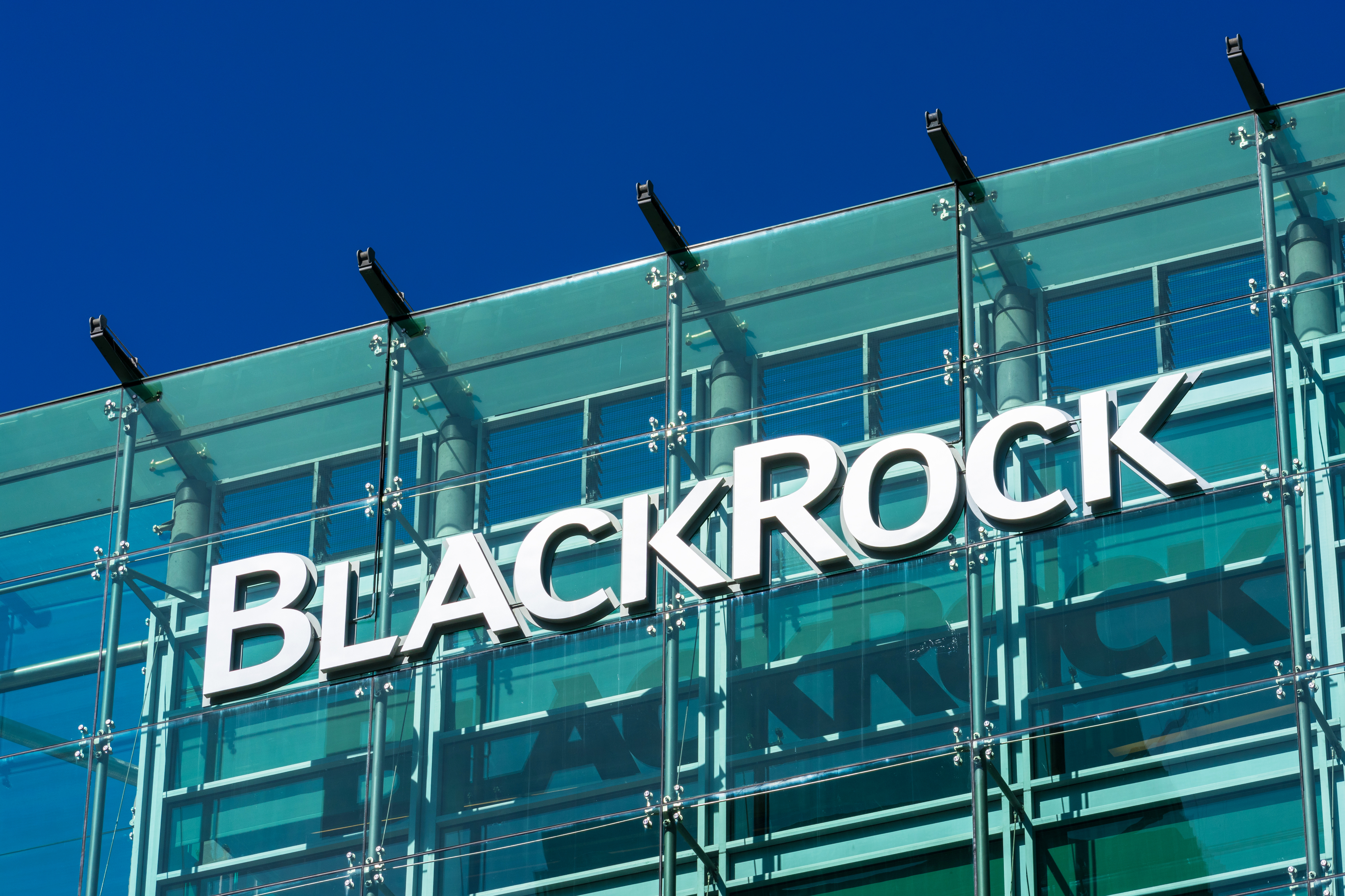 Het succesvolle BlackRock is opvallend kwetsbaar