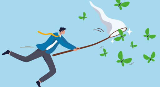 De vlinder wordt duur betaald