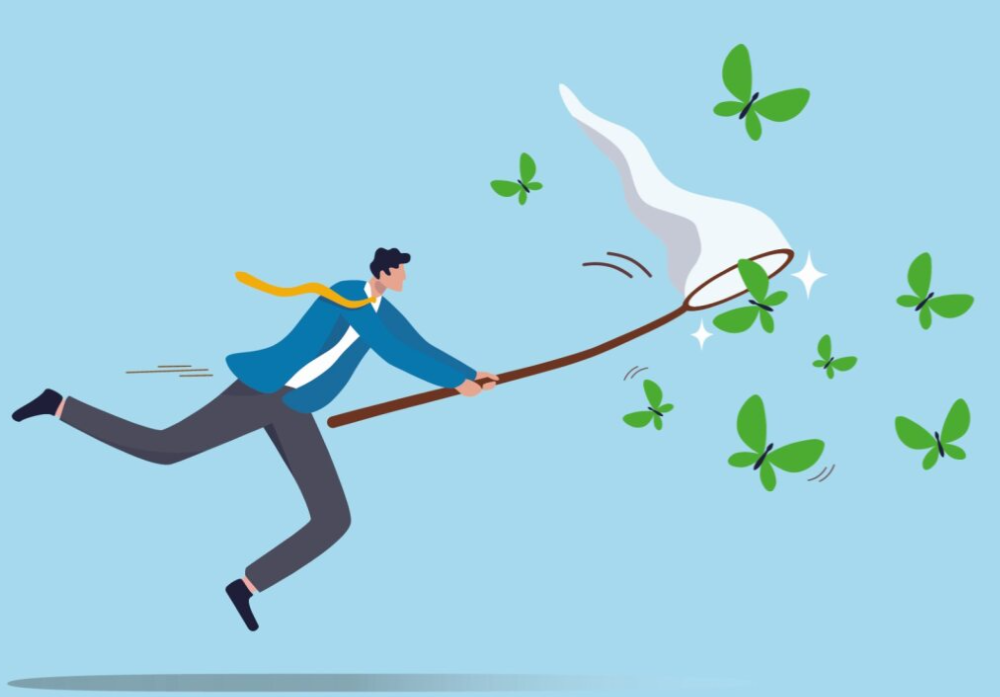 De vlinder wordt duur betaald